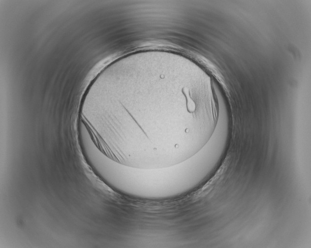X0000111011330200907311043