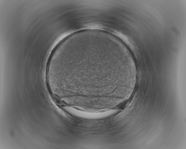 X0000111011331200907311043