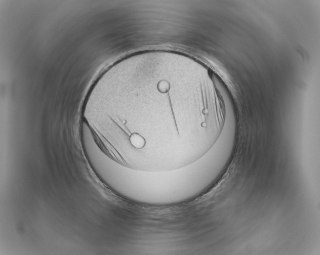 X0000111011332200907311043