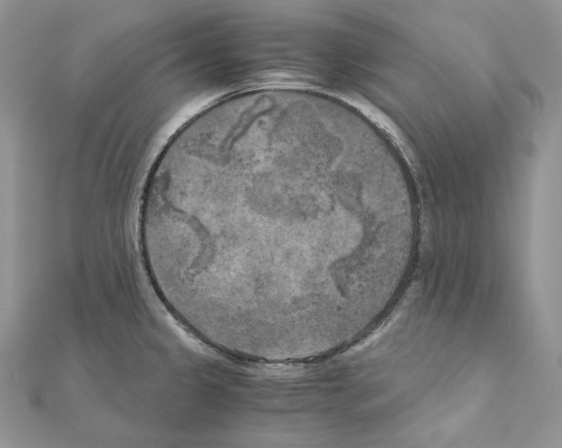 X0000111011333200907311043