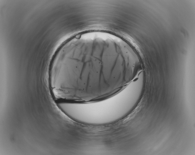 X0000111011334200907311043