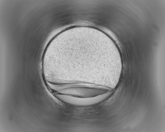 X0000111011335200907311044