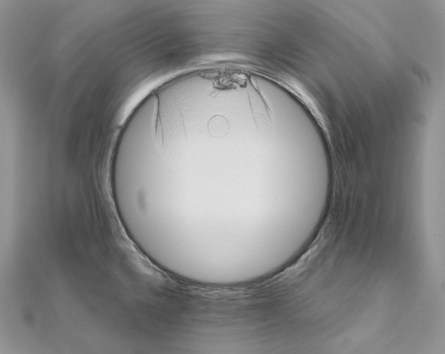 X0000111011336200907311044