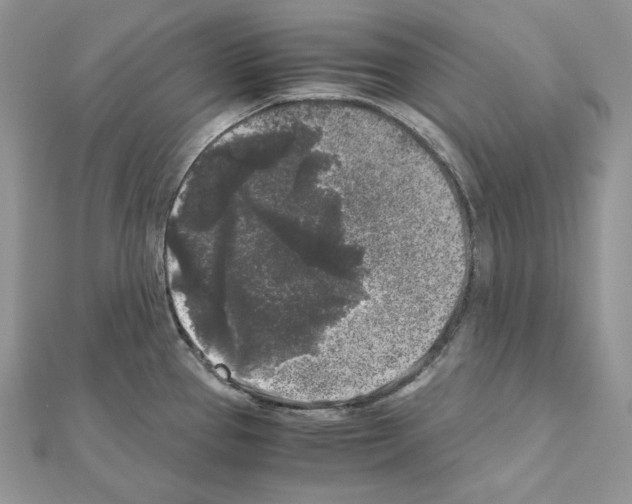 X0000111011337200907311044
