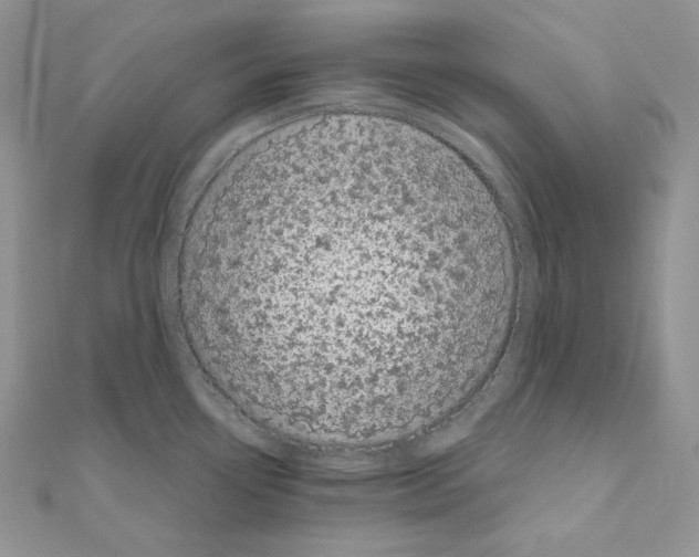 X0000111011338200907311044