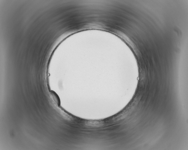 X0000111011339200907311044
