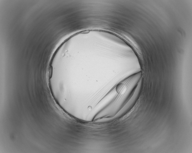 X0000111011340200907311044