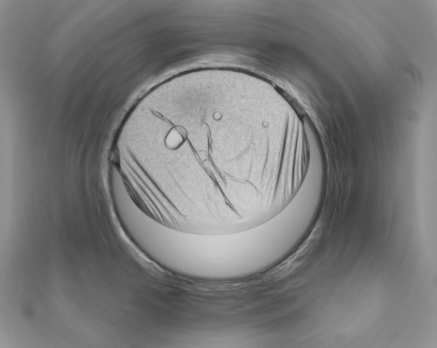 X0000111011342200907311044