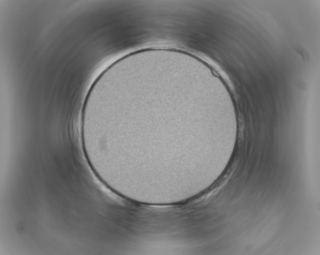 X0000111011343200907311044