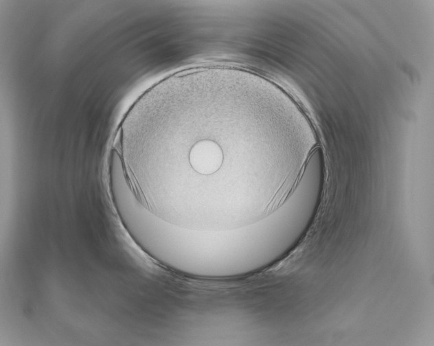 X0000111011344200907311044