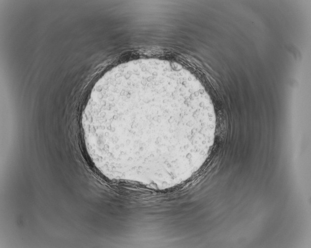 X0000111011345200907311043