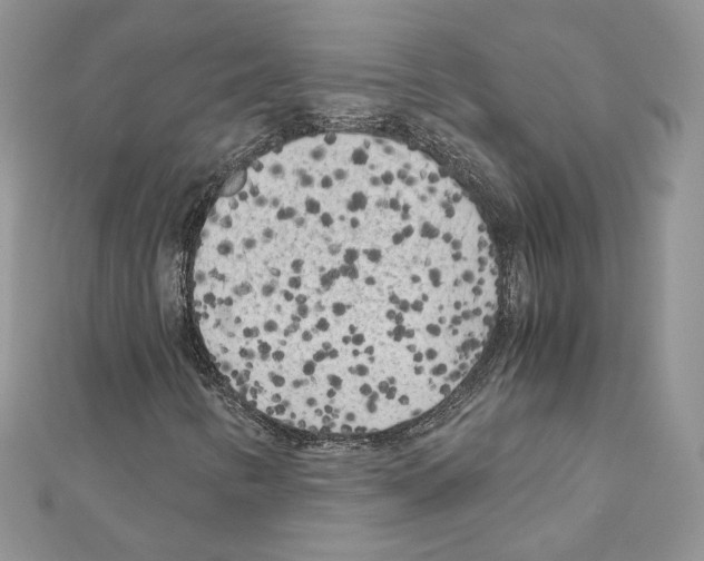 X0000111011346200907311043