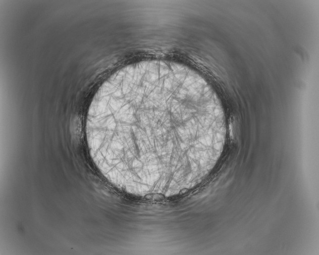 X0000111011347200907311043