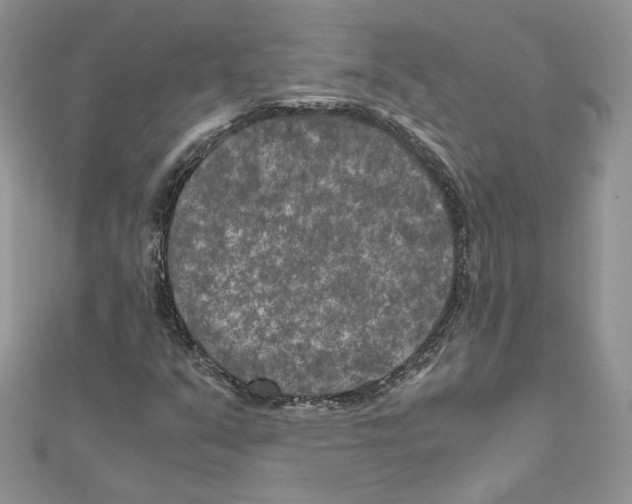 X0000111011351200907311043