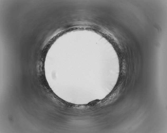 X0000111011352200907311043