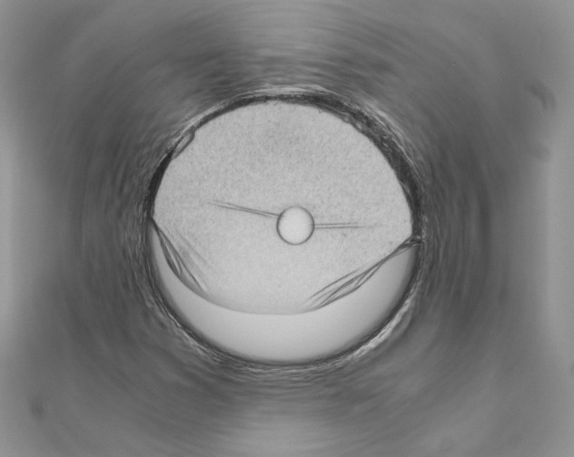X0000111011353200907311043