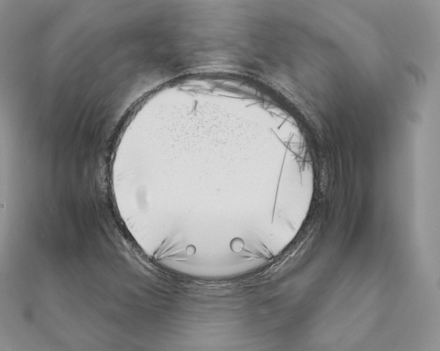 X0000111011356200907311043