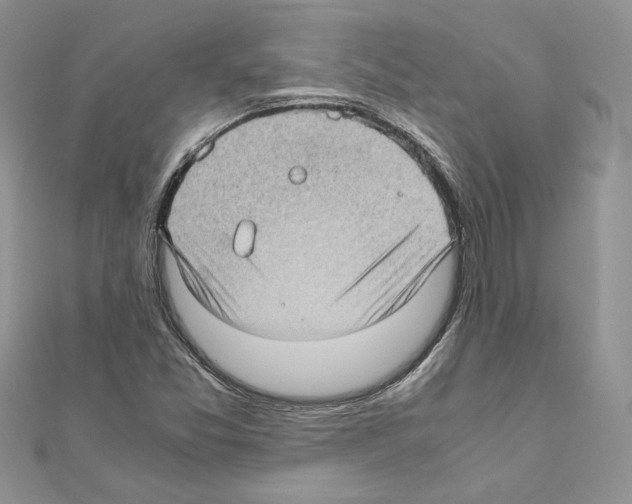 X0000111011357200907311043