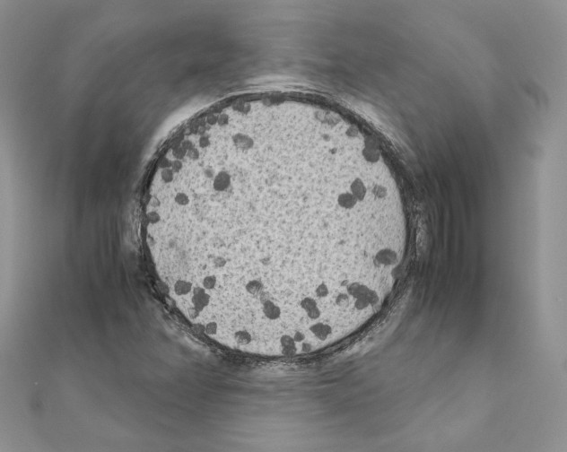 X0000111011358200907311043