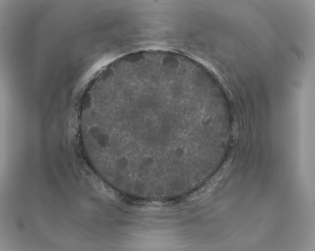 X0000111011359200907311043