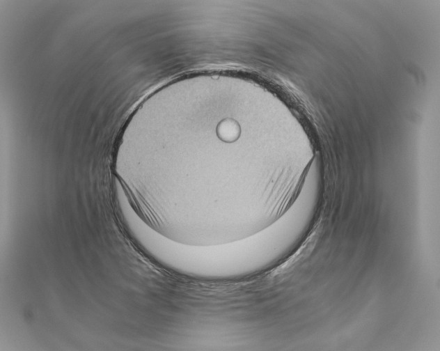 X0000111011361200907311043