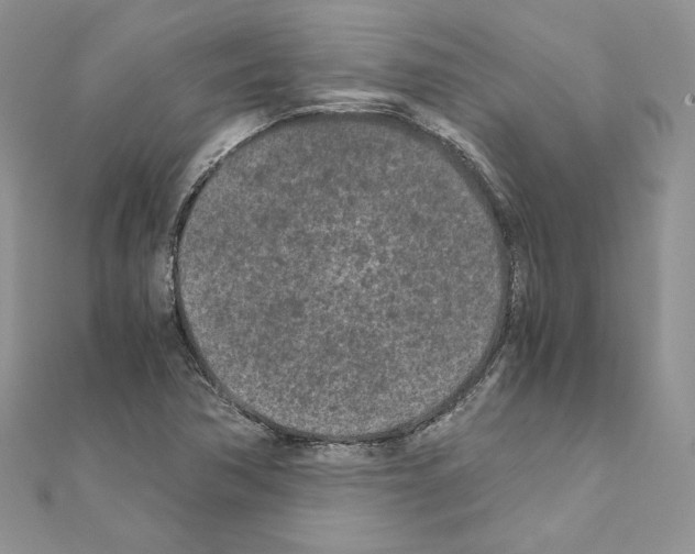 X0000111011362200907311043