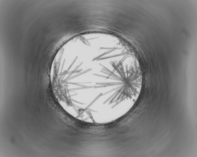 X0000111011363200907311043