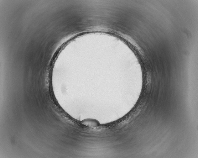 X0000111011364200907311043