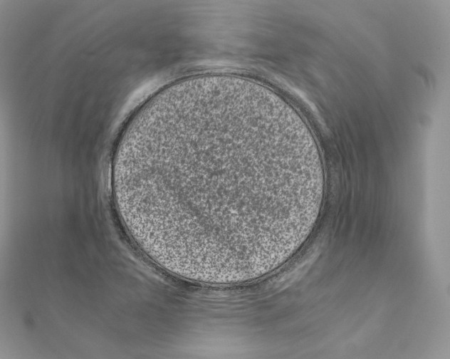 X0000111011365200907311043
