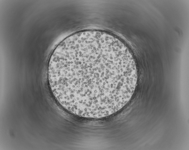 X0000111011367200907311043