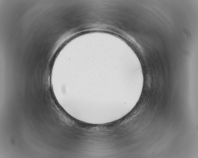 X0000111011368200907311043