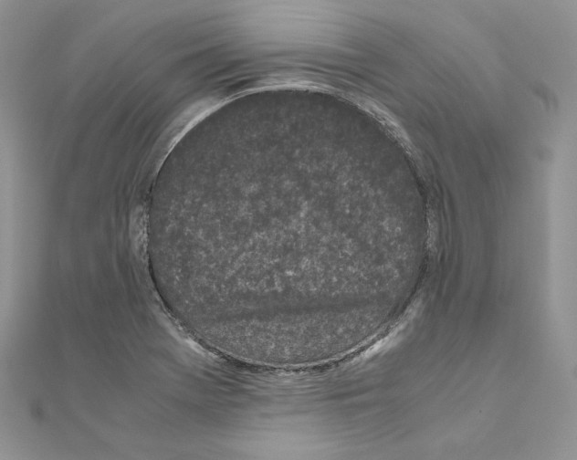X0000111011369200907311043