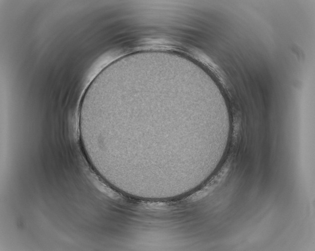 X0000111011370200907311043