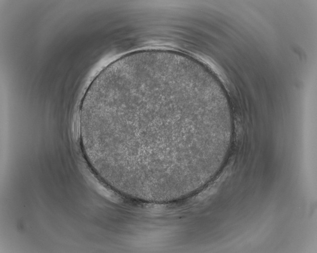 X0000111011371200907311043