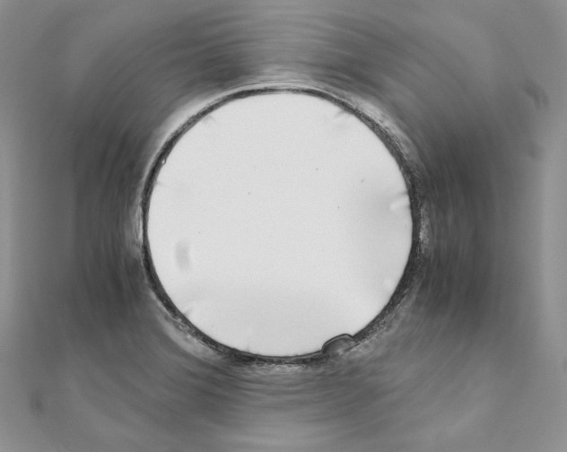 X0000111011372200907311043