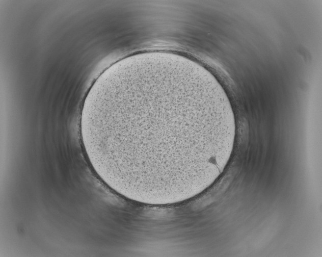 X0000111011374200907311043
