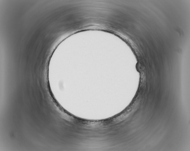 X0000111011375200907311043