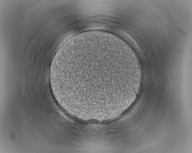 X0000111011377200907311043