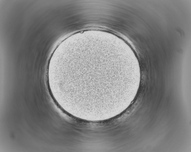 X0000111011379200907311043