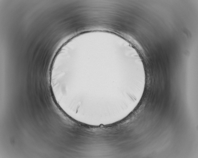 X0000111011380200907311043