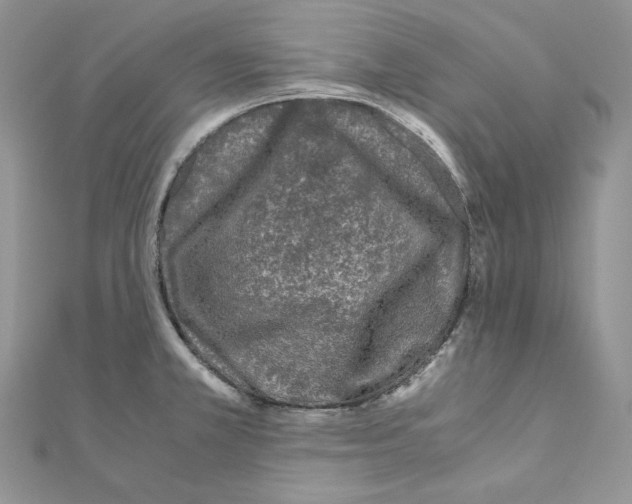 X0000111011381200907311043