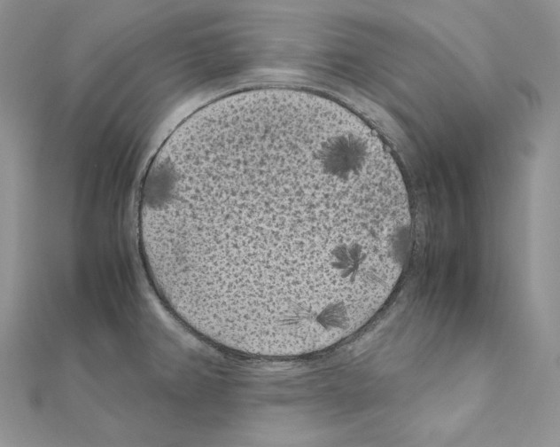 X0000111011382200907311043