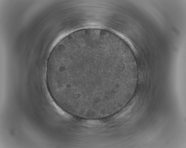 X0000111011383200907311043