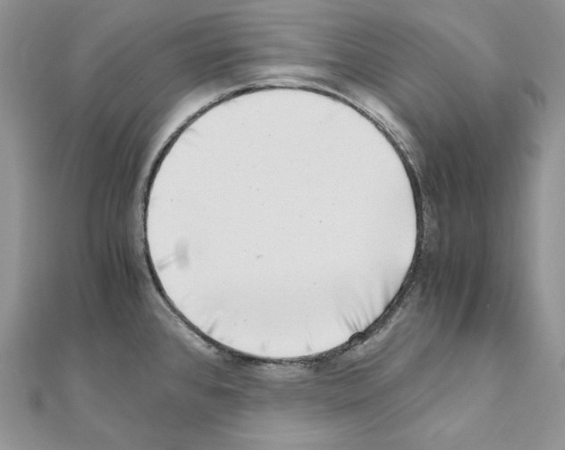 X0000111011384200907311043