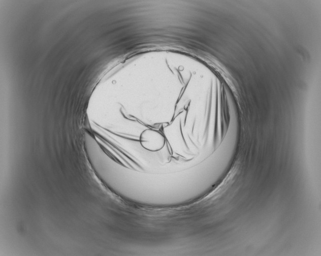X0000111011385200907311043
