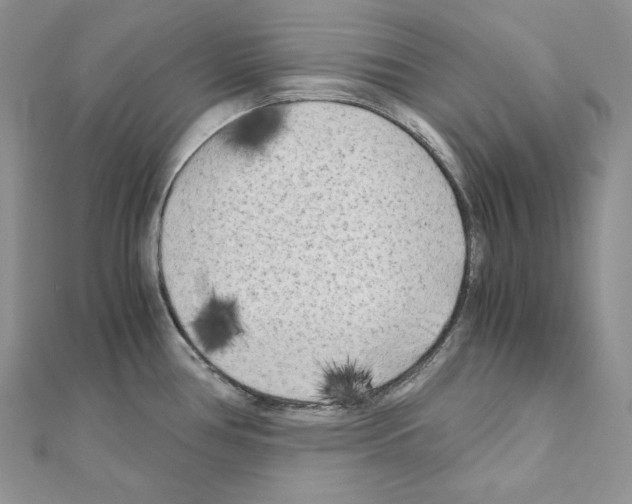 X0000111011386200907311042