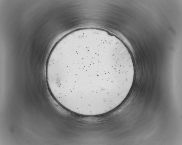 X0000111011388200907311042