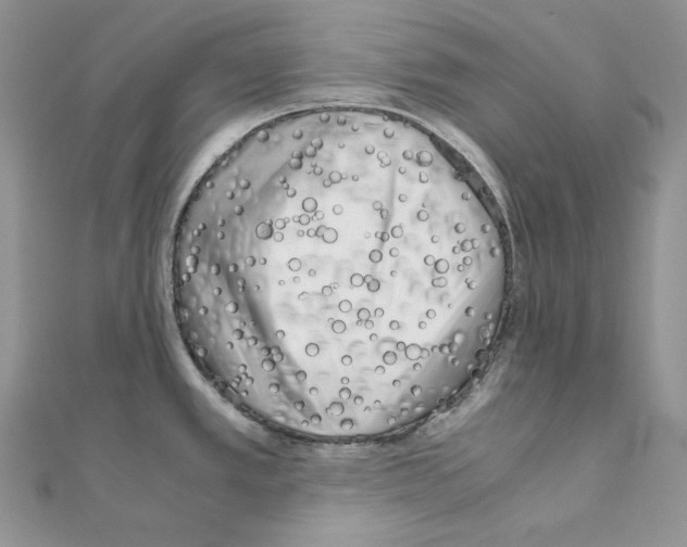 X0000111011389200907311042