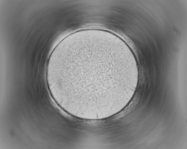 X0000111011390200907311042