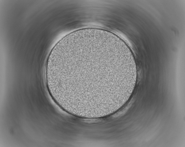 X0000111011391200907311042